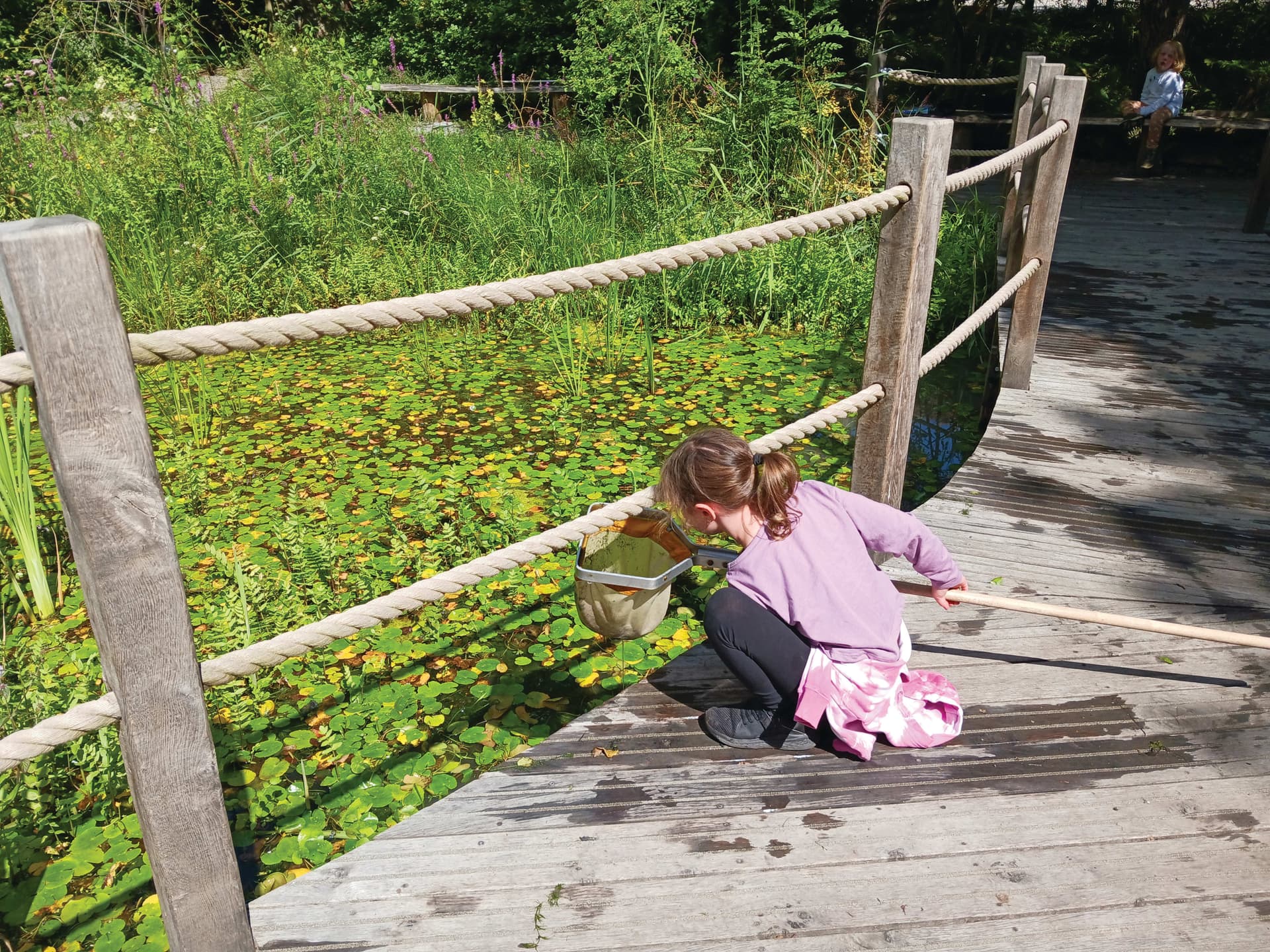 A young girl kneeling down on a wooden bridge