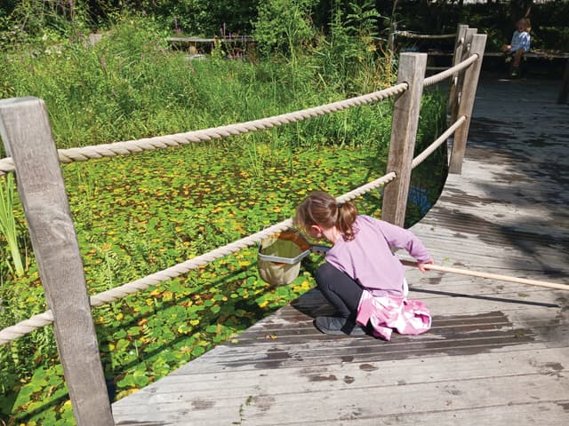 A young girl kneeling down on a wooden bridge