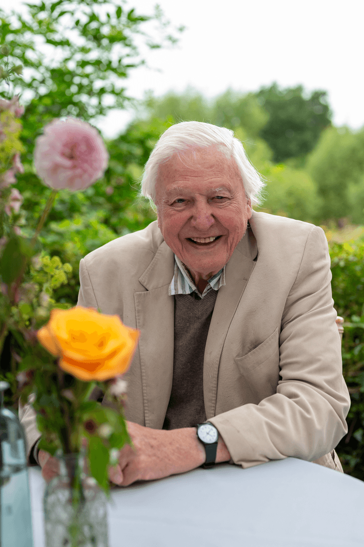 A man sitting at a table with a vase of flowers