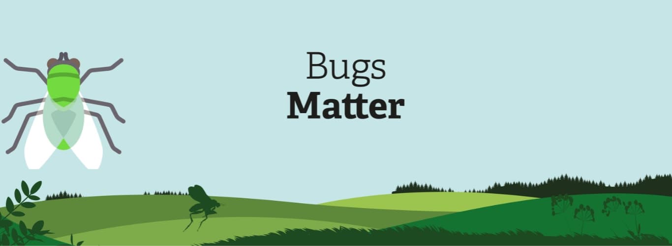 A bug flying over a lush green field