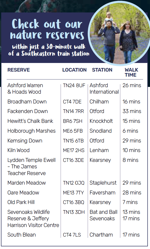 A flyer for a walk with a picture of two people