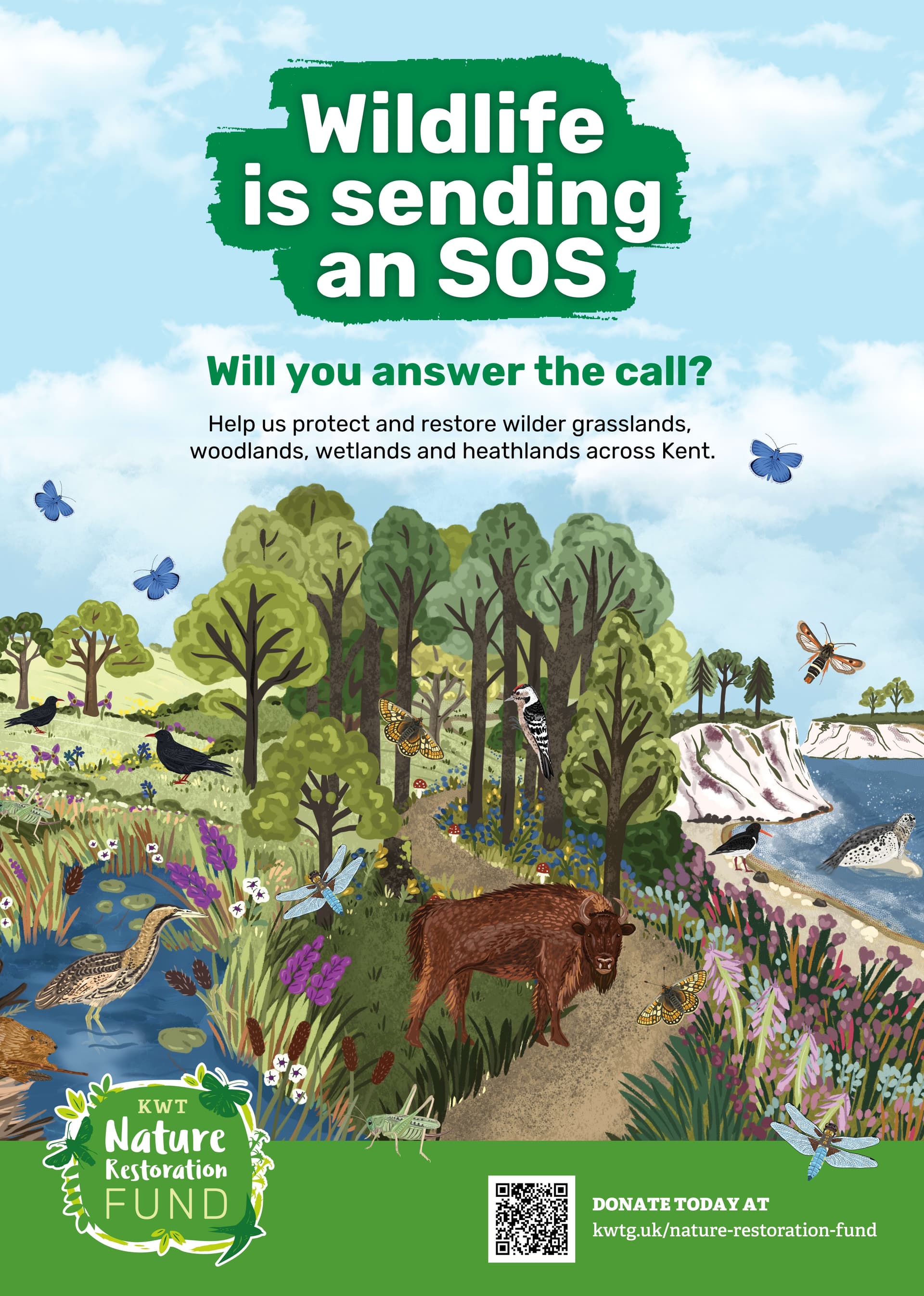 A book cover with a picture of a forest and animals