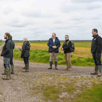 We strengthen and grow