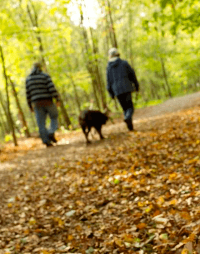 Two people walking down a path in the woods