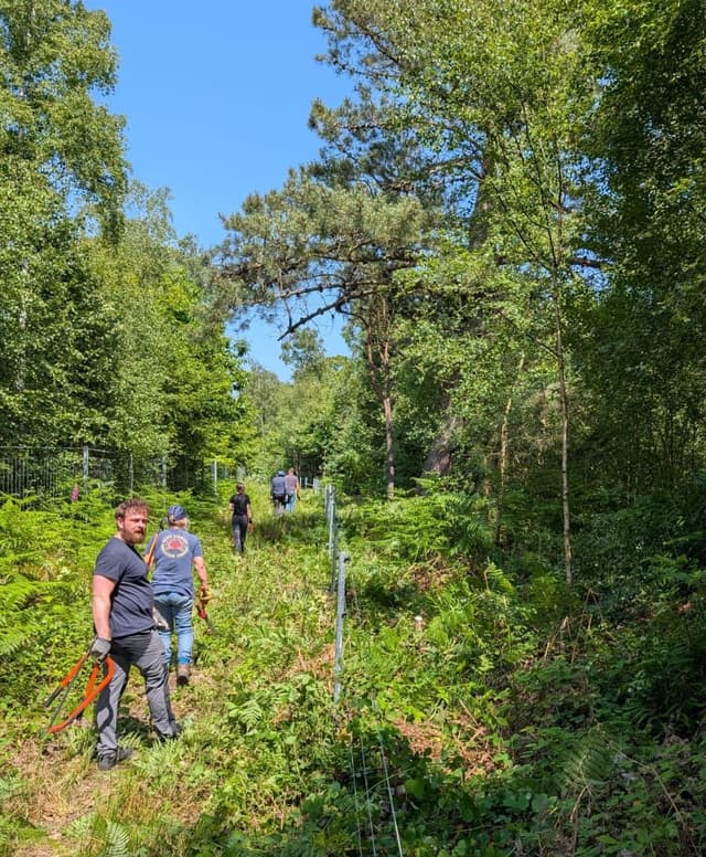 A group of people walking through a lush green forest