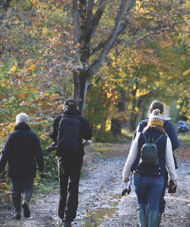A group of people walking down a dirt road