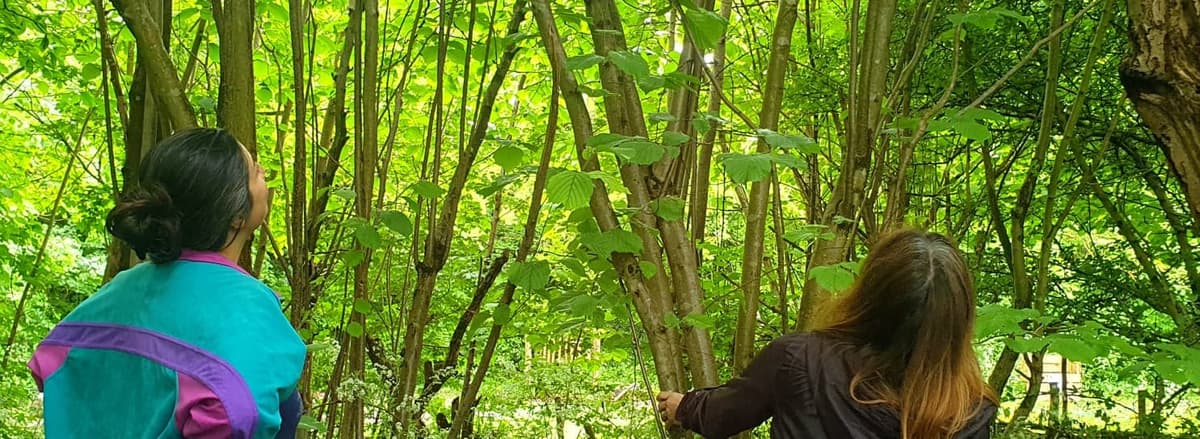 A couple of women walking through a lush green forest