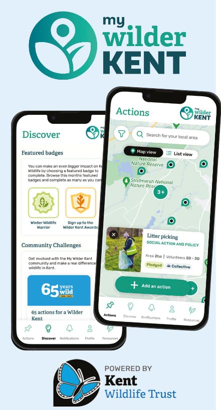 A phone and a cell phone with a map on it