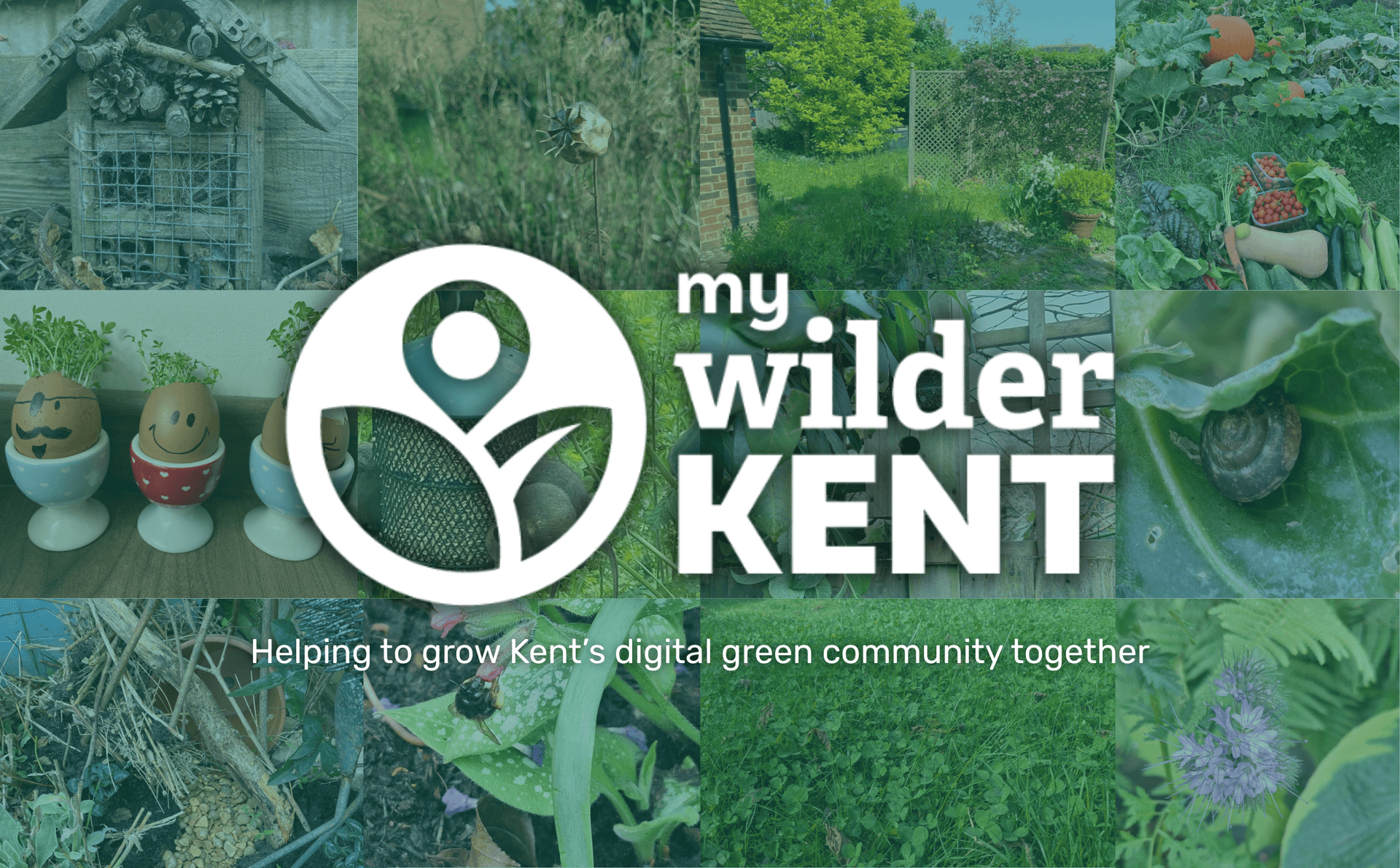 A collage of photos with the words, my wilder kent