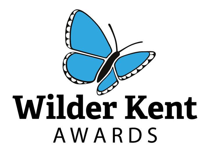 A blue butterfly with the words wilder kent awards
