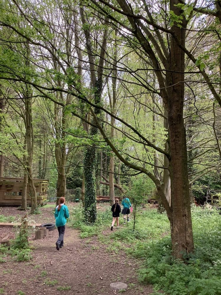 A group of people walking through a forest