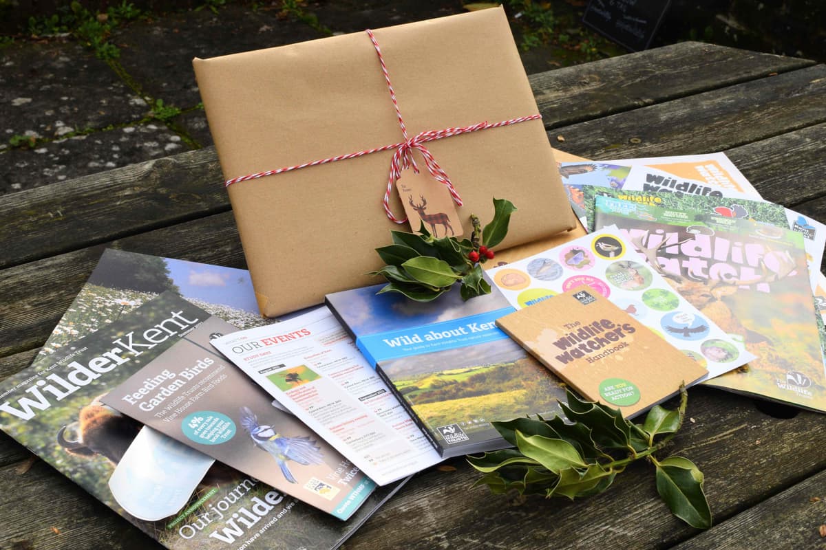 A bunch of books sitting on top of a wooden table