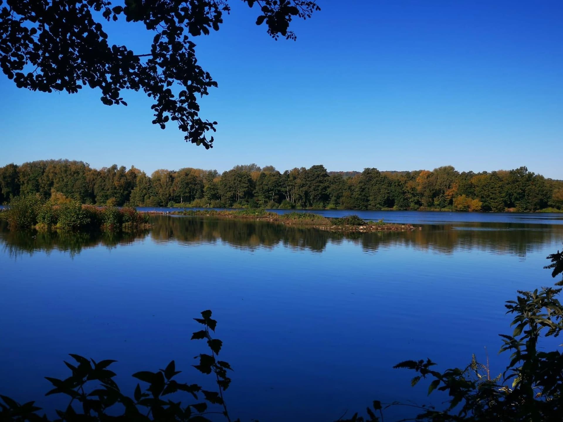 A body of water surrounded by trees and a blue sky