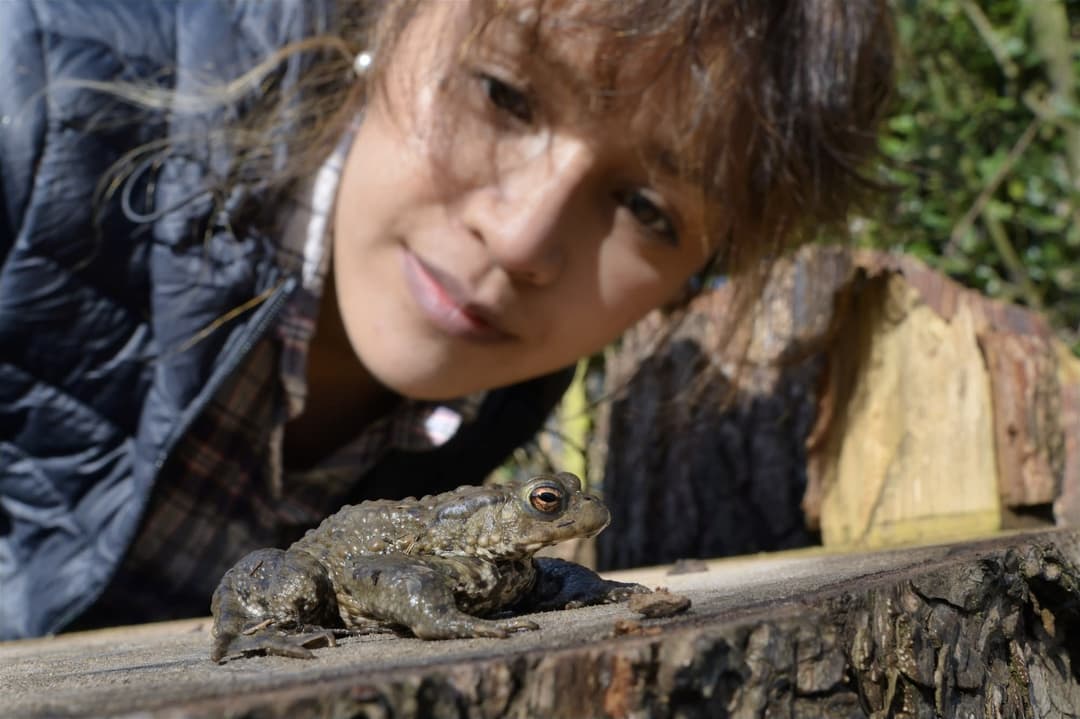 A young girl looking at a frog on a log