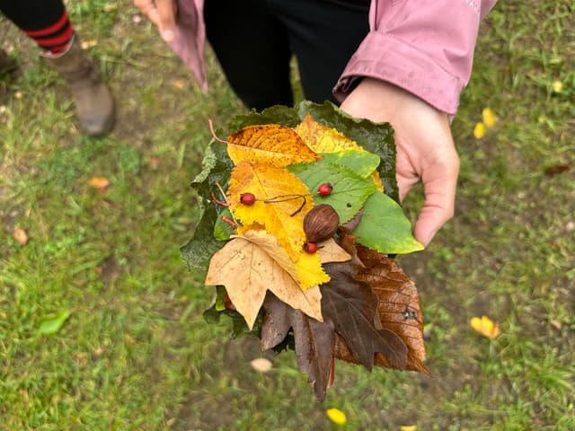 A person holding a bunch of leaves and acorns